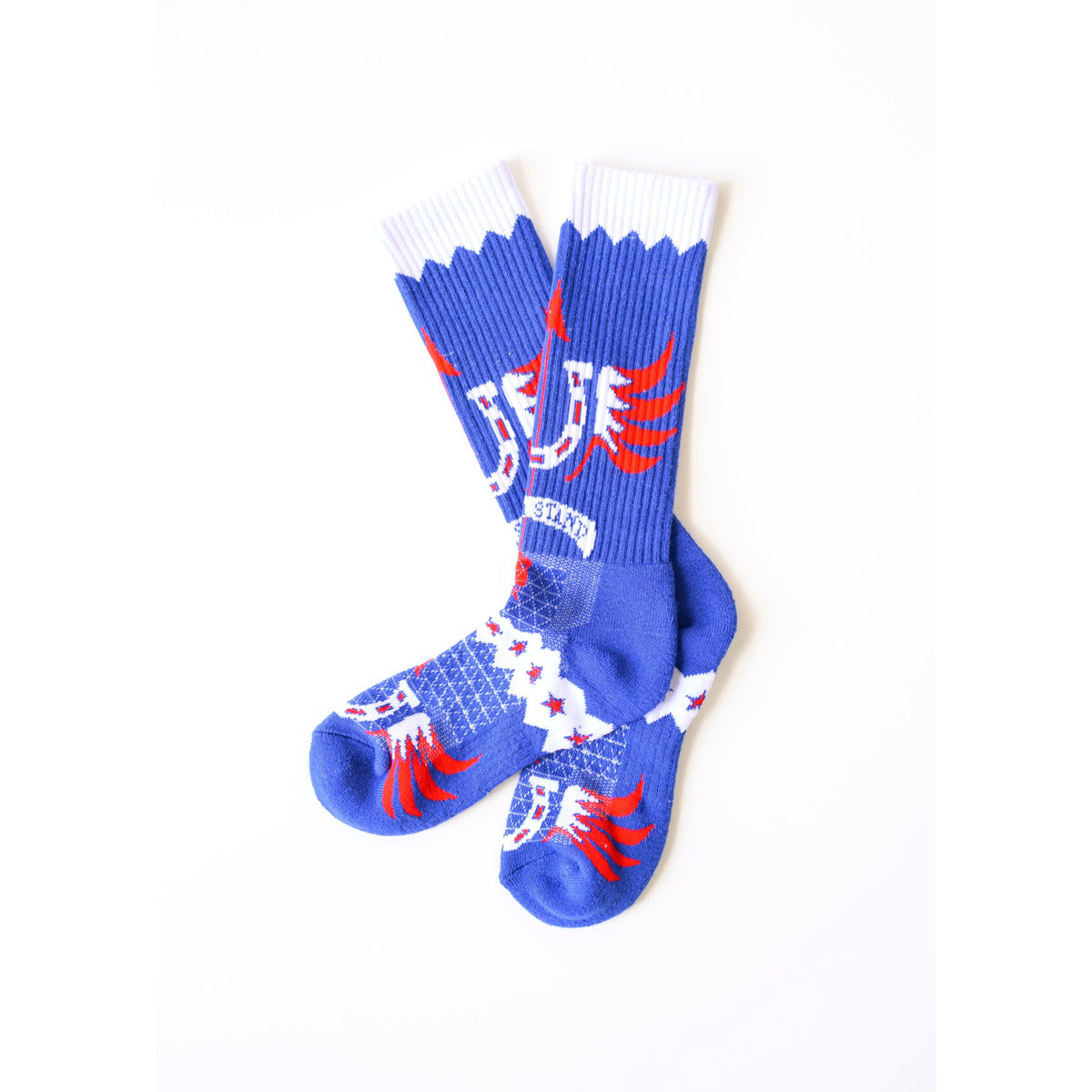 Take A Stand/ America Performance Boot Socks